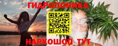 бошки Кимры